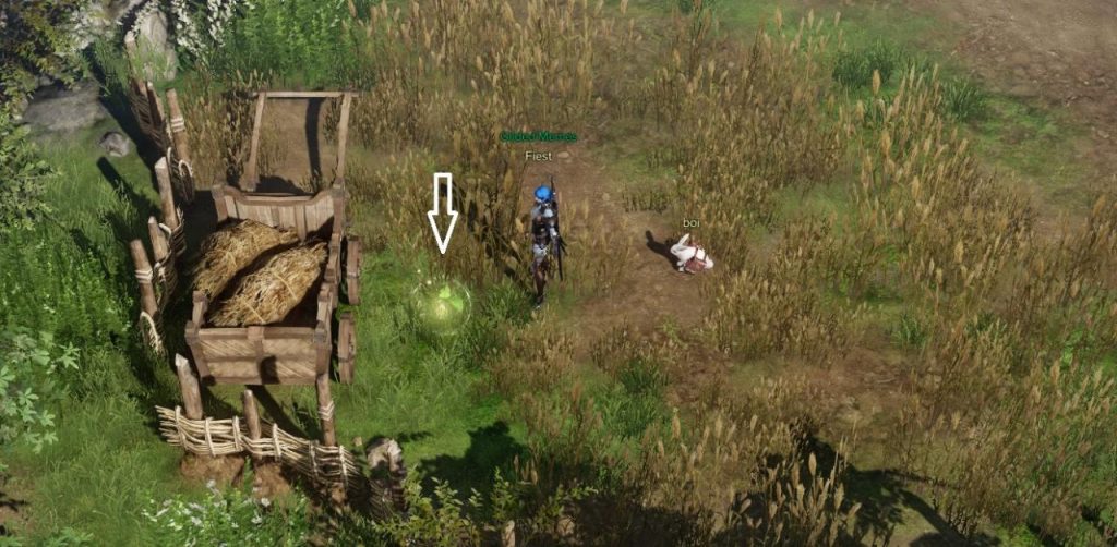 Lost Ark Mokoko Seeds Locations (Prideholme) KosGames