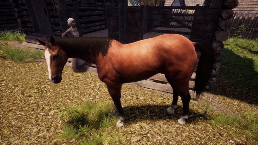 Medieval Dynasty: Horses Guide - KosGames